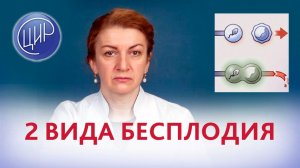 2 сценария ненаступления беременности.