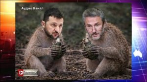 Медик-садист: ВСУ требует у киевского режима брать весь мир в заложники а  РФ пленных кастрировать