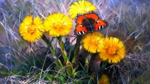 Весна в живописи художника Вячеслава Палачева