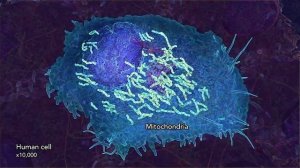 Чудо ДНК. Свежие научные данные