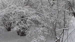 Das Wintermärchen für dich!!!