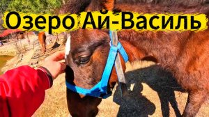 КРЫМ / ОЗЕРО АЙ-ВАСИЛЬ / РЫБАЛКА / ОТДЫХ НА ПРУДУ / ЖИЗНЬ НА МОРЕ / ЯЛТА СЕГОДНЯ