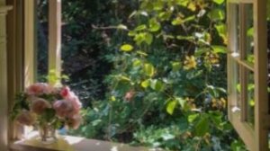 С любимкой😊😍