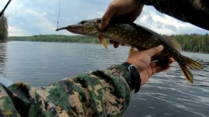 Рыбалка 25.05.23