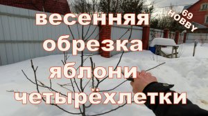 Весенняя обрезка яблони четырёхлетки! Два примера