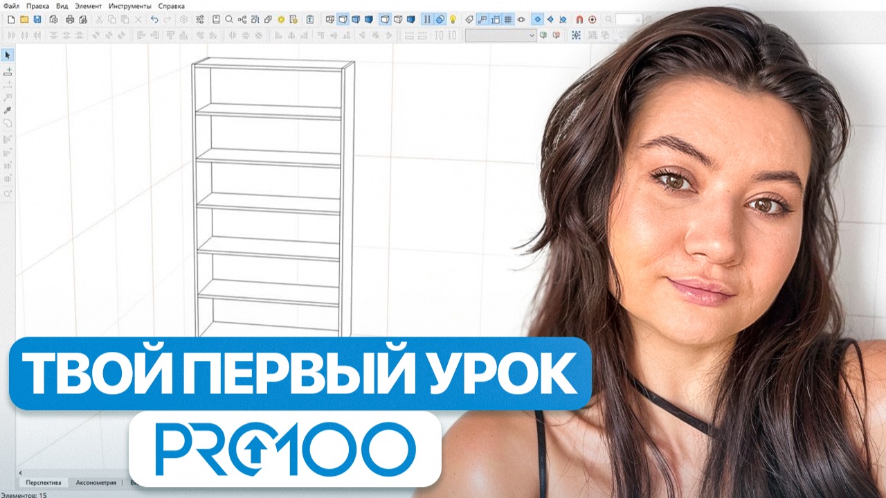 Pro100 для начинающих — с чего начать работу?