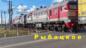 Удивительное в Рыбацком: как 2М62У проезжал железнодорожный переезд