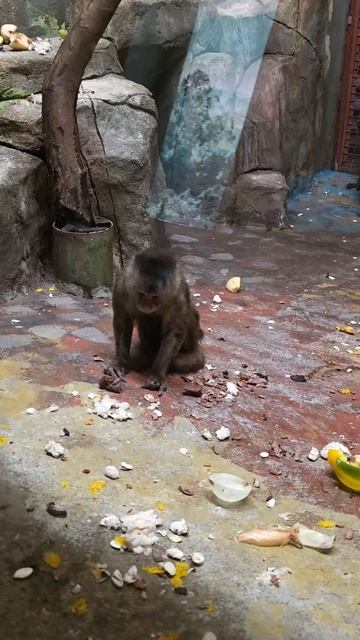 зоопарк Екб ч3 #лайфстайл