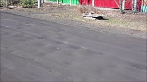 ч.7 Восточный