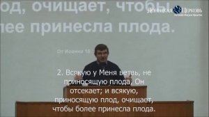 Я Есмь Истинная виноградная Лоза