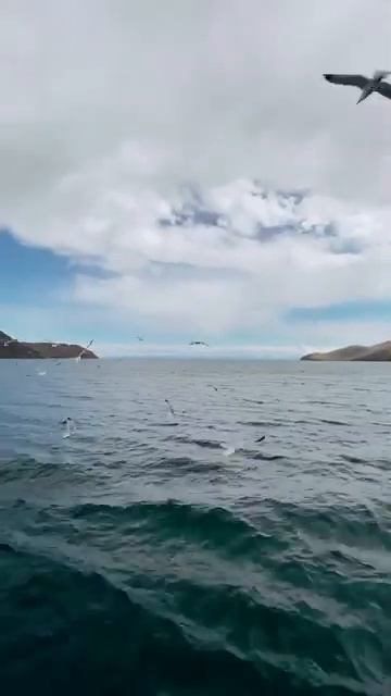 Boris Zhivago - Adagio For Love