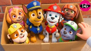 Щенячий патруль и Маршалл. Залипательное видео. Мультфильм для детей и малышей. Анимация 349