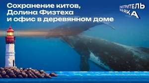 Сохранение китов, Долина Физтеха и офис в деревянном доме | Смотритель маяка с Романом Маякиным