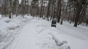 новосибирск на велосипеде зимой 2026