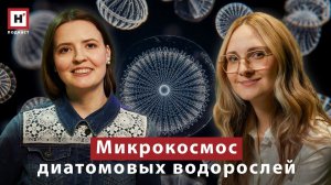 Подкаст с физиком Юлияной Цветинович: «В мире науки»