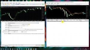 Видео обзор советника для торговли на Золоте - GOLD MIRROR SCALPING