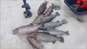 Продолжаем ловить на Спорт-зоне. Клёвое место Лосиный остров.