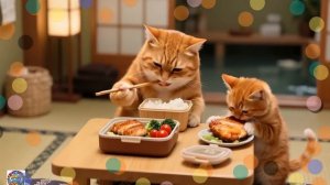 Теплая зима: мама-кошка и ее двое котят продают суп, чтобы помочь бездомным