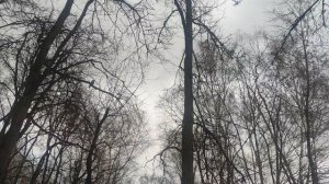 8 марта ждите солнце....