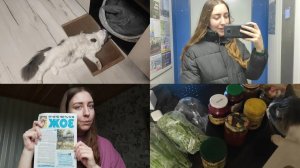 АРХИВ 2023 I вернулась в Рязань | не хотелось, а пришлось | vlog 29.04-01.05.2023