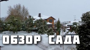 Обзор-наблюдения за садом. День за днем. Садовый дневник. Март’26