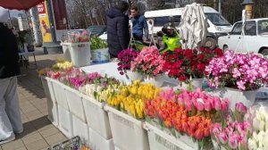 ДР Михалыча. Кто дарит мне цветы?