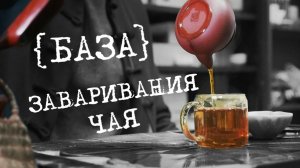 Как заваривать китайский чай, проверенная база | Art of Tea
