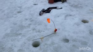 09.03.26 - ловля форели