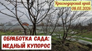 МЕДНЫЙ КУПОРОС: обработка сада(08.03.2026)