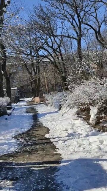 ❤️A💙R🧡M✝️E📖N✊I🗻A🇦🇲. #armenia #music #cavdtanem #steps #iarmen