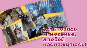 ВЛОГ: ОСТАНОВИСЬ МГНОВЕНЬЕ, ЧТО БЫЛО С ЛЮСЕЙ? ДЕЛА ПУШИСТЫЕ, НАШ ДОСУГ!