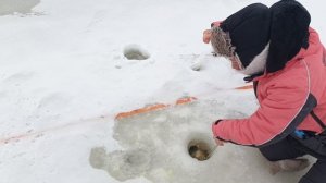 VID_20260309_095135_827