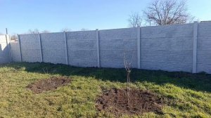 09-03-2026 Потихоньку, понемногу, привыкаем к работе