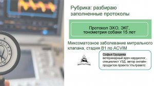 Протокол ЭХО, ЭКГ и тонометрии собаки 15 лет | Миксоматозное заболевание клапанов у собак