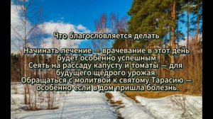 Народные приметы на 10 марта 2026 года: что можно и нельзя делать в день Тараса Бессонного