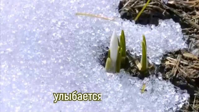 3.1. Создание титров и субтитров