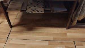 Рецепты вкусняшек грибы это еда