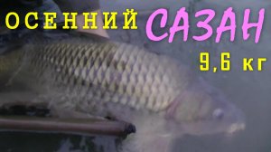 Рыбалка Октябрь