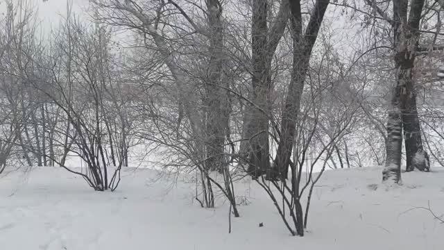 Нищие но гордые)  Размышления о пенсии )