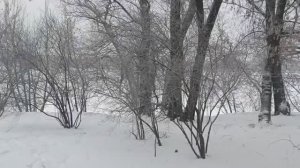 Нищие но гордые)  Размышления о пенсии )