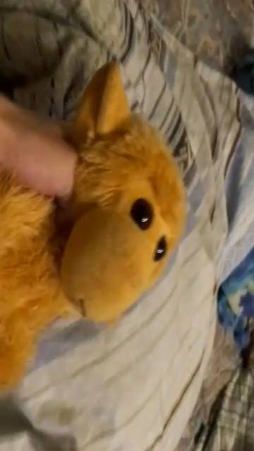 злая обезьяна