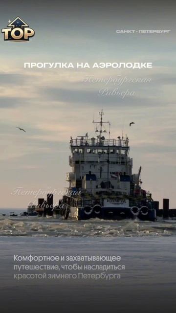 Последний лед! Бронируй прогулку на аэросанях. Аэросани в аренду в СПб. Дмитрий Шескин «Ривьера