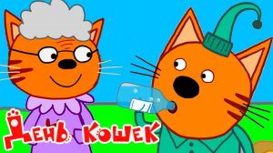 Три кота — Мультфильм | Мультики Три Кота для малышей | Сборник серий три кота смотреть