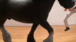 ожидание и реальность