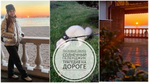 59/26.Поездка в Геленджик❤️//Страшная авария на трассе😱//Неожиданный поворот событий/Mariya VD LIFE