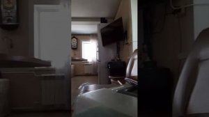 Стрим в честь 25 подписчиков