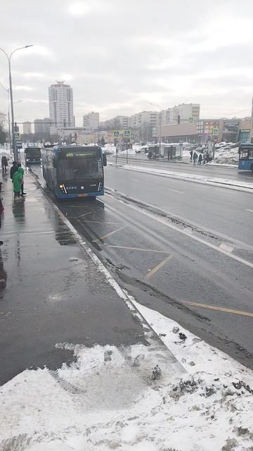 нефаз 5299 прибывает на остановку, маршрут 650