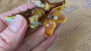 Часть 1. "Мой янтарный мир".Броши.Купила старую книгу о янтаре.