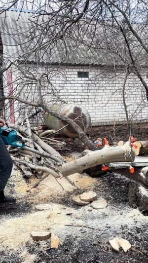 Продолжаю мучать пилы. Продольный рез цепью для поперечного реза. Проверяем мощность пил.