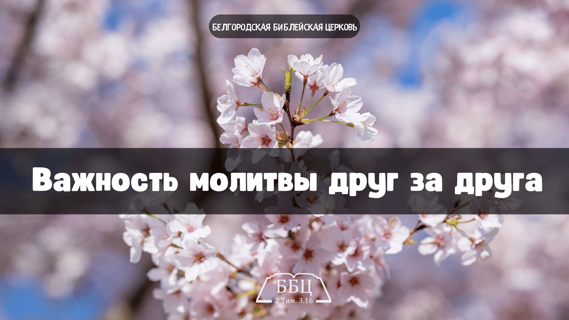 Важность молитвы друг за друга || Вячеслав Катречко